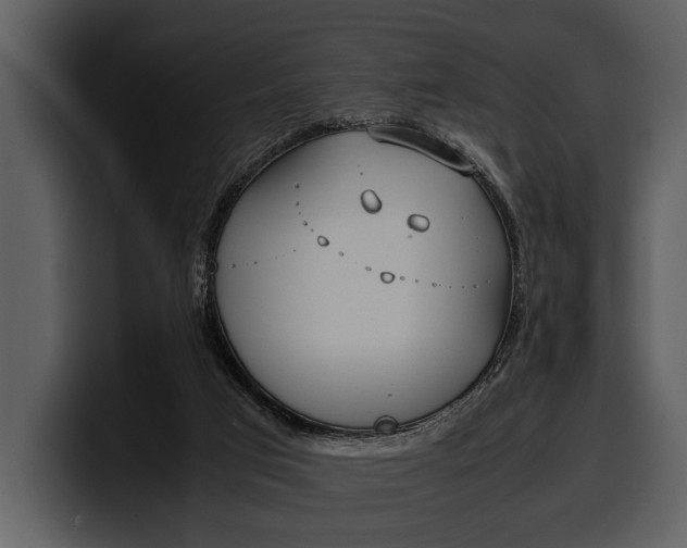 X0000100310017200806190952