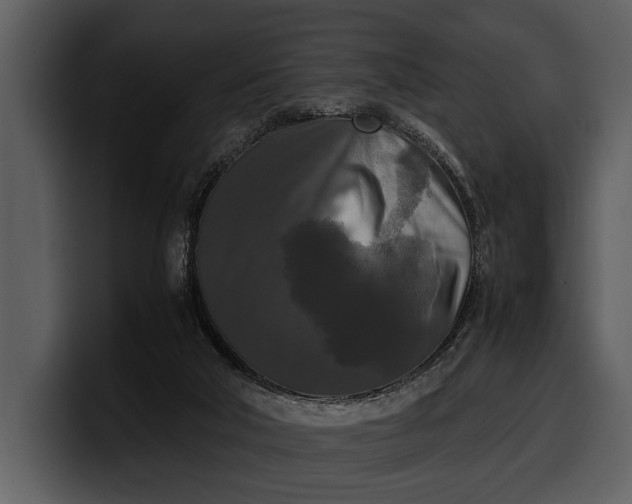 X0000100310018200806190952