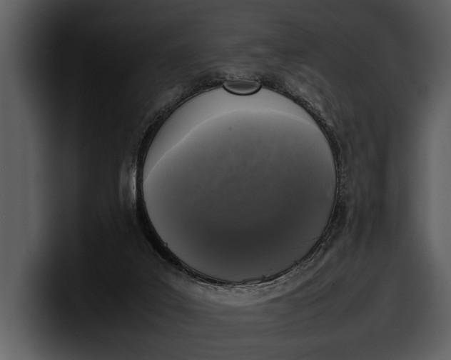 X0000100310019200806190952