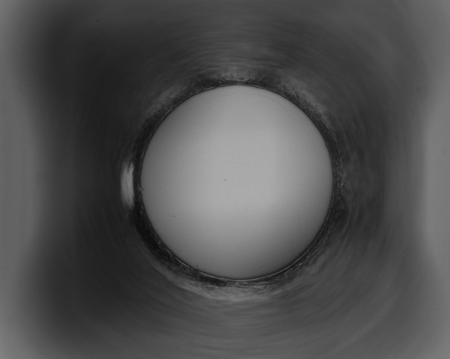 X0000100310020200806190952