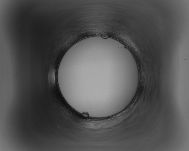 X0000100310021200806190951