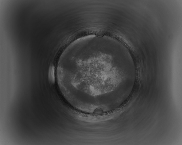 X0000100310022200806190951