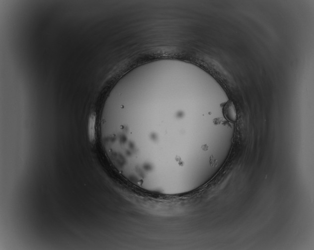 X0000100310024200806190951