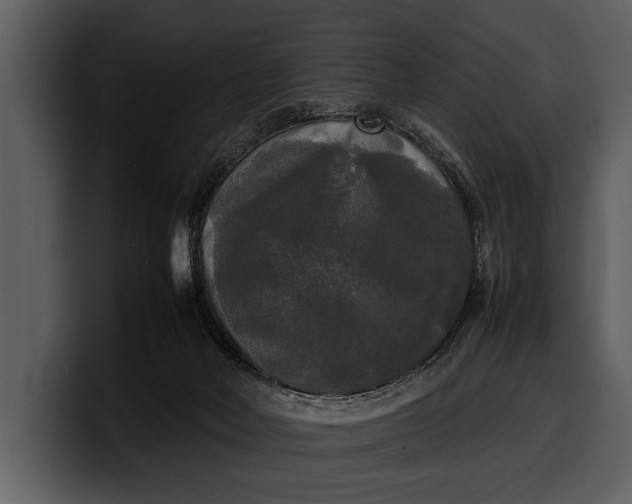 X0000100310026200806190951