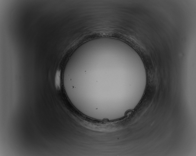 X0000100310028200806190951