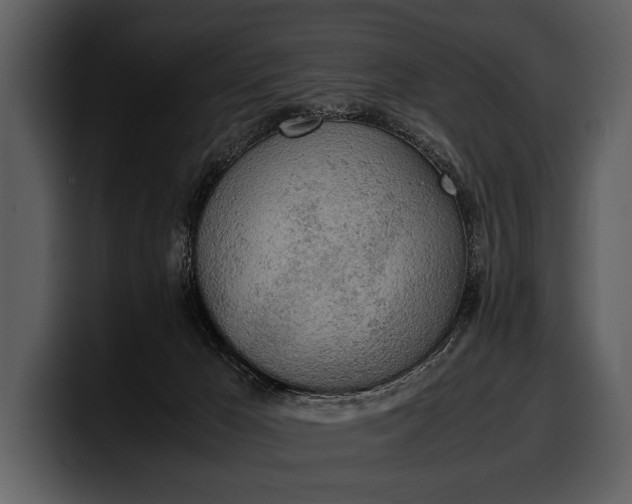 X0000100310029200806190951