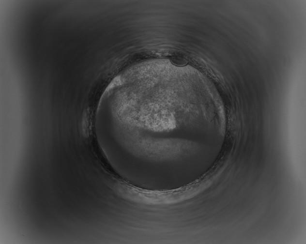 X0000100310030200806190951