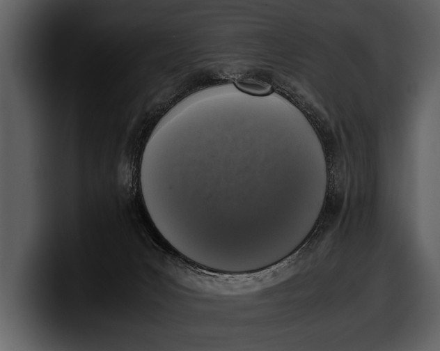 X0000100310031200806190951