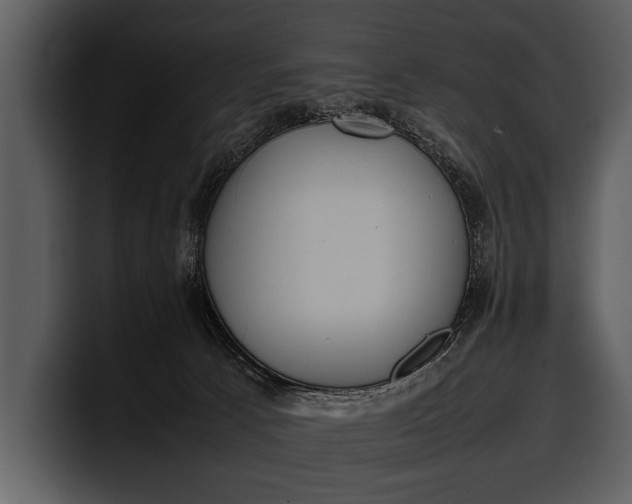 X0000100310033200806190951