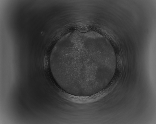 X0000100310034200806190951