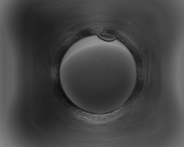 X0000100310035200806190951