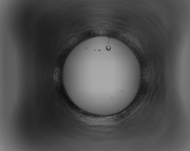 X0000100310036200806190951