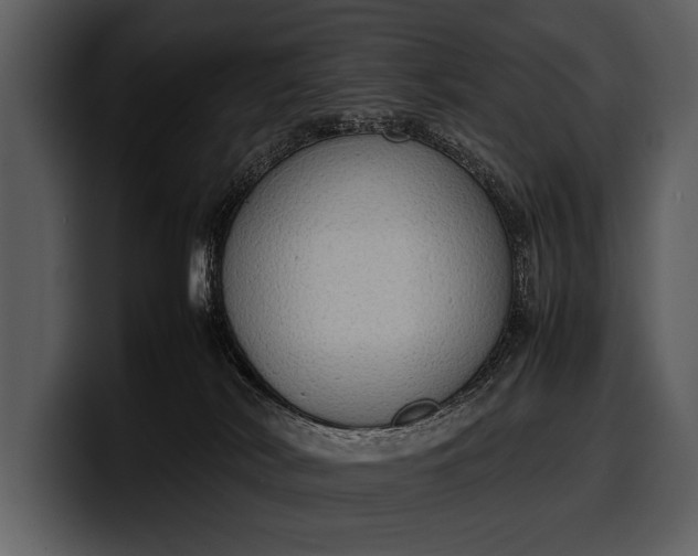 X0000100310038200806190951