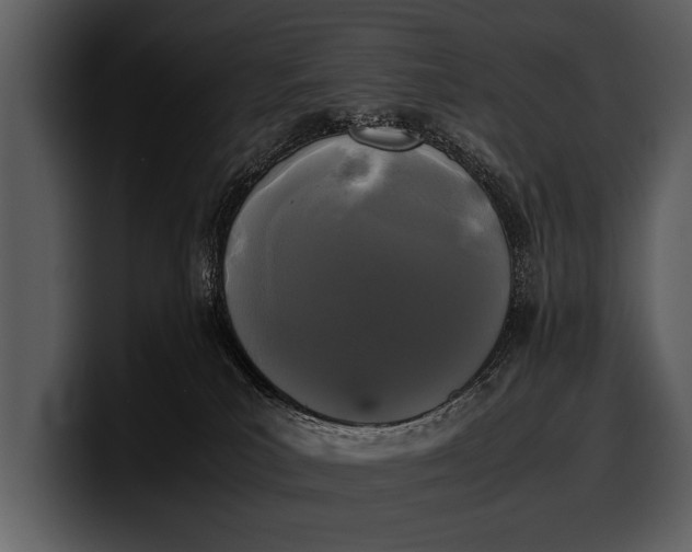 X0000100310039200806190951