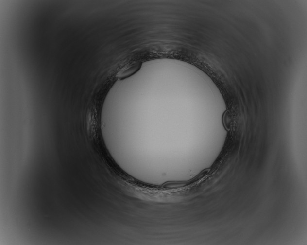 X0000100310040200806190951