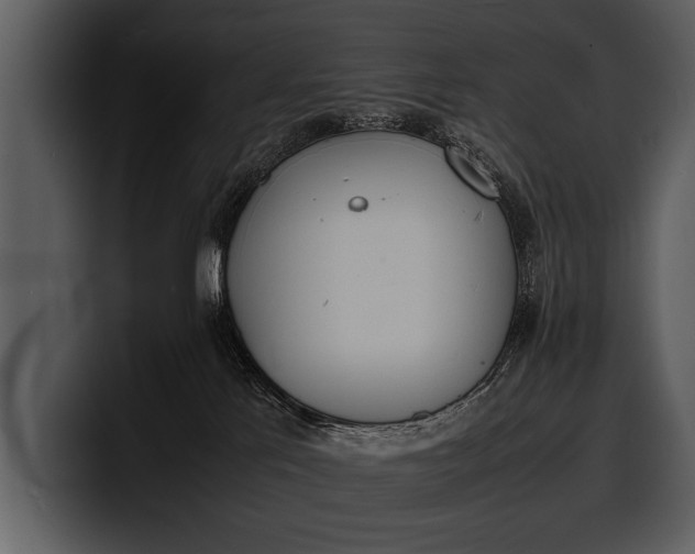 X0000100310041200806190951