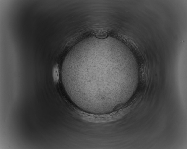 X0000100310042200806190951