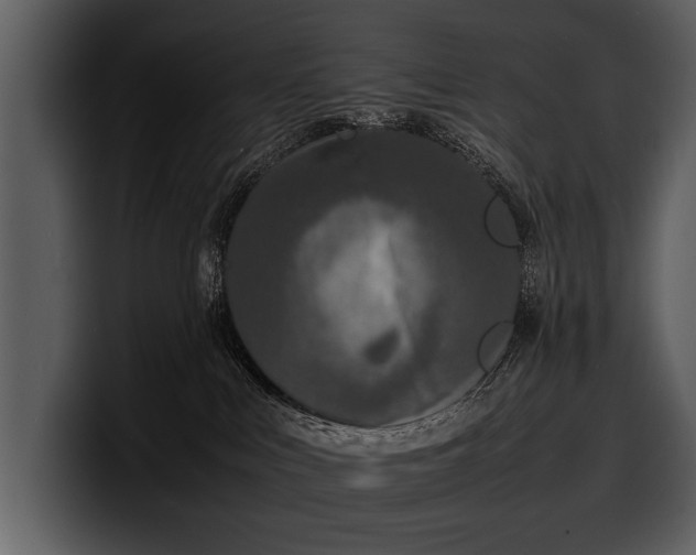 X0000100310043200806190951