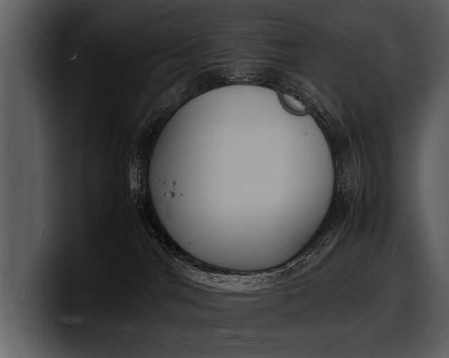 X0000100310044200806190951