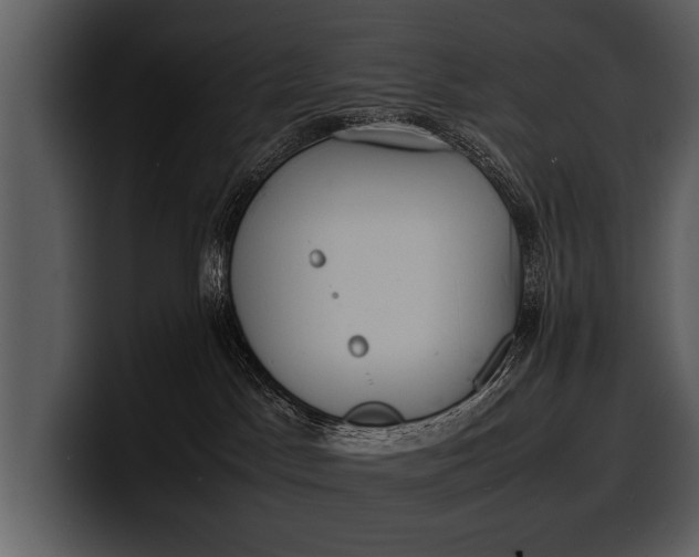 X0000100310045200806190951