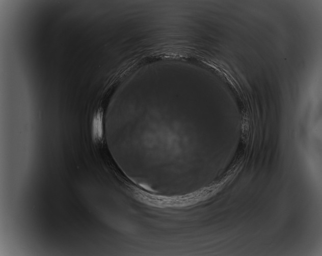 X0000100310046200806190951