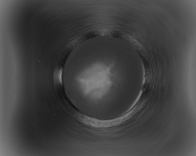 X0000100310047200806190951