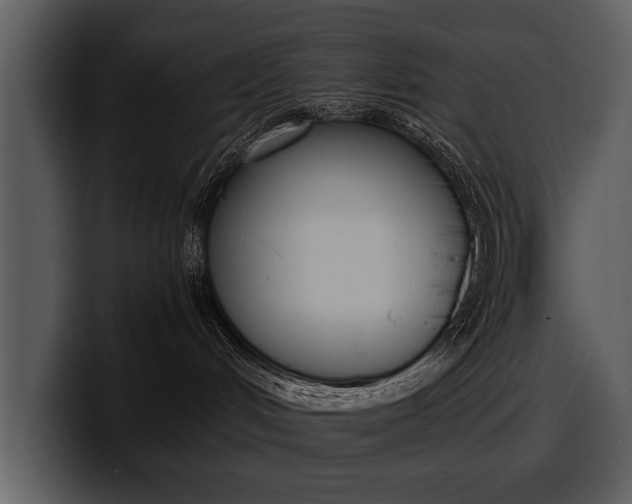 X0000100310048200806190951