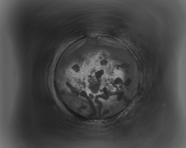 X0000100310049200806190950