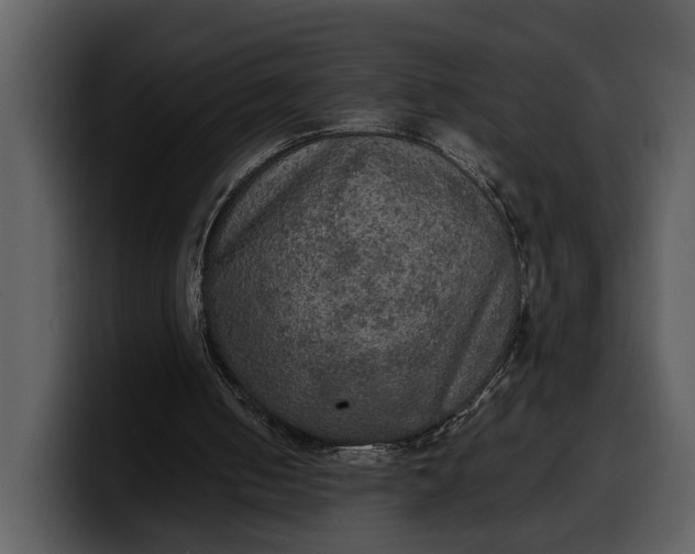 X0000100310050200806190951