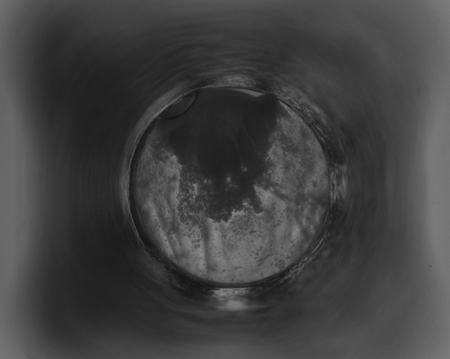 X0000100310051200806190951