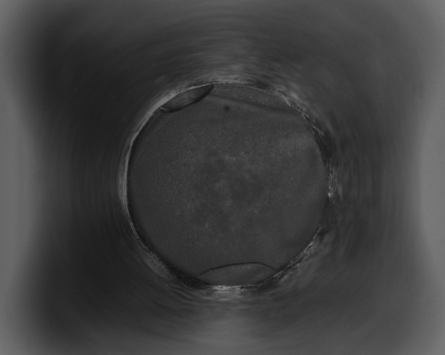 X0000100310052200806190951