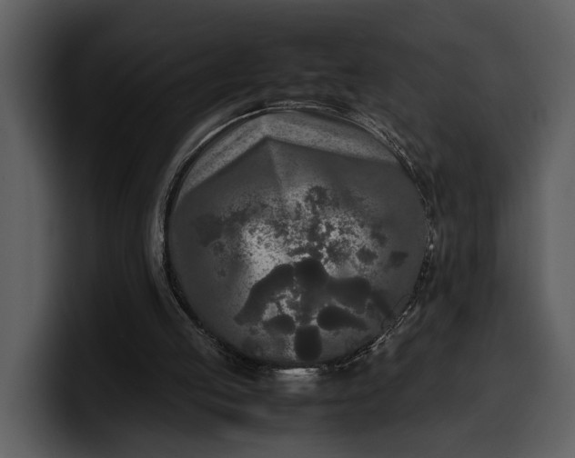 X0000100310053200806190951