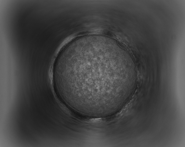 X0000100310054200806190951