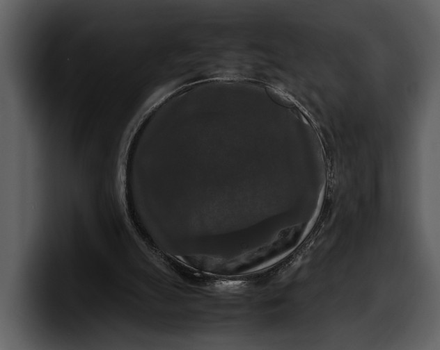 X0000100310055200806190951