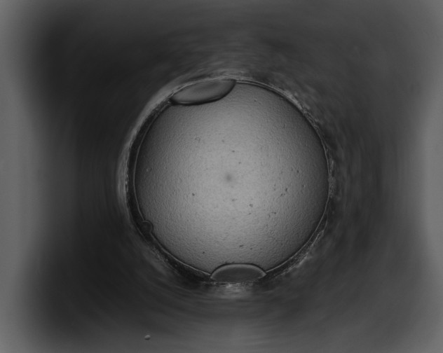 X0000100310056200806190951