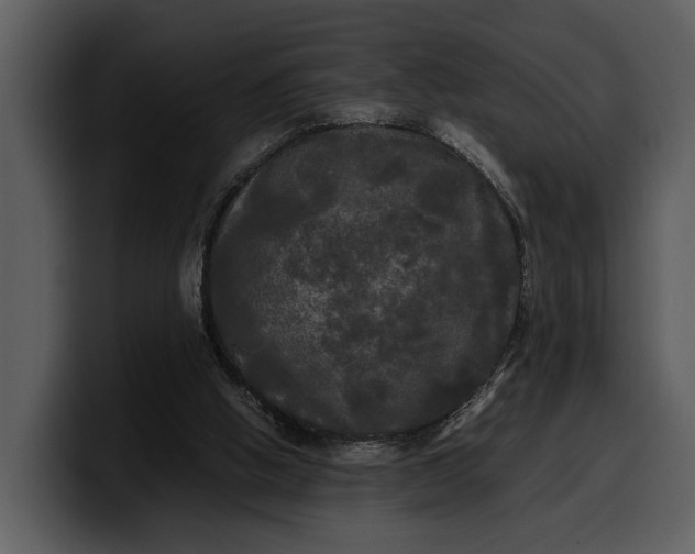 X0000100310058200806190951