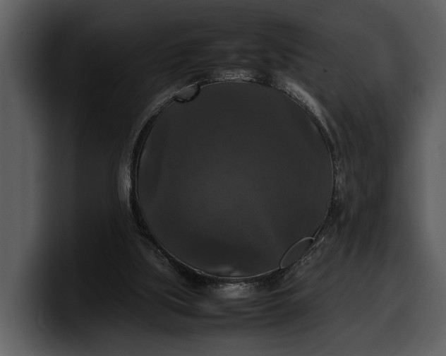 X0000100310059200806190951