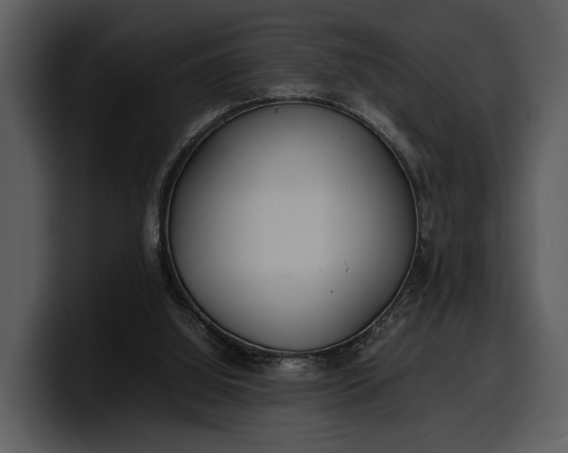 X0000100310060200806190951