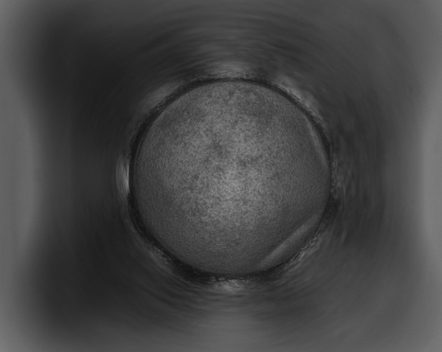 X0000100310062200806190951