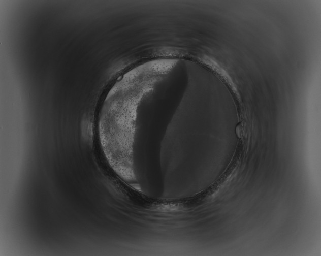 X0000100310063200806190951