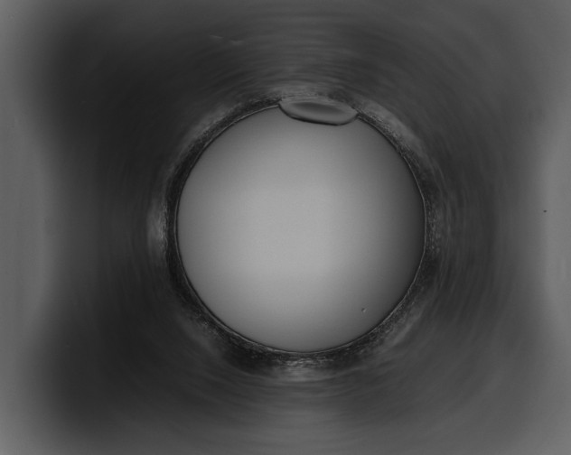 X0000100310064200806190951