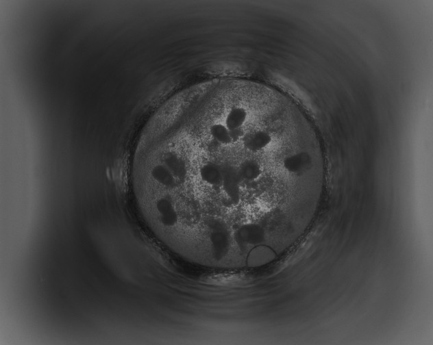 X0000100310065200806190951