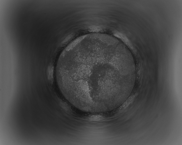 X0000100310066200806190951