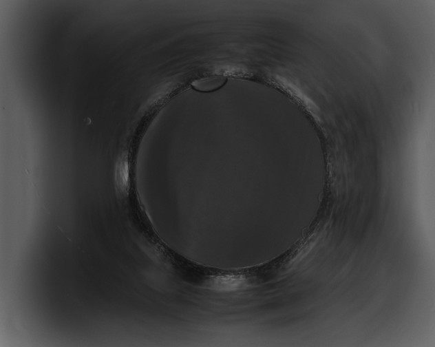 X0000100310067200806190951