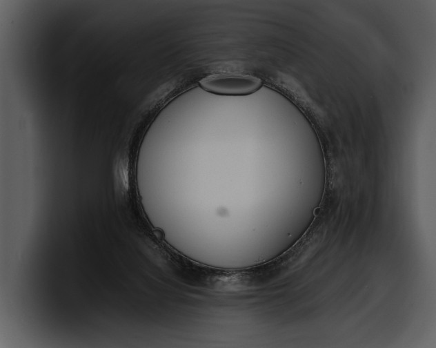 X0000100310068200806190951