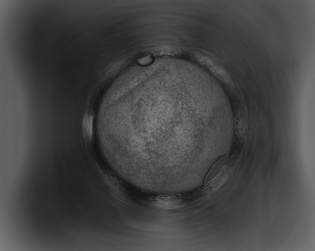 X0000100310070200806190951