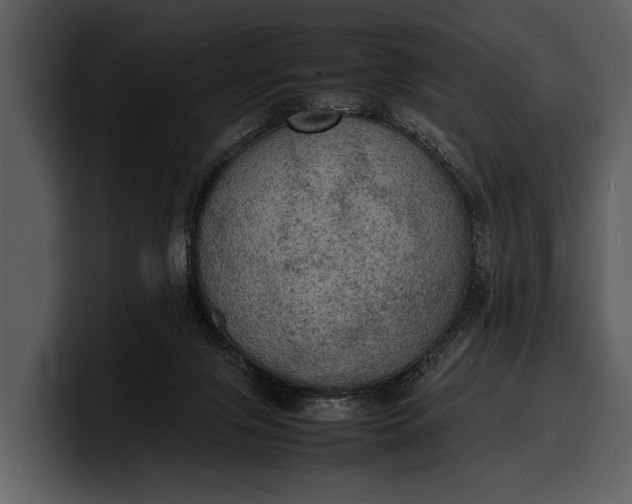 X0000100310071200806190951