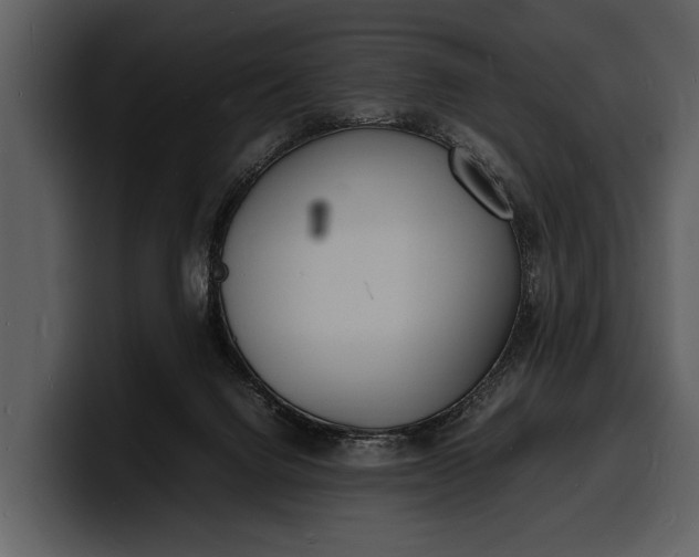 X0000100310072200806190951