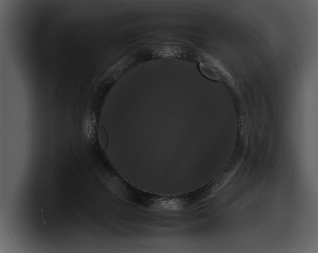 X0000100310073200806190951