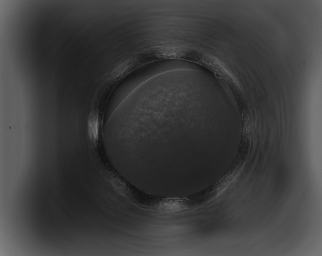 X0000100310076200806190951